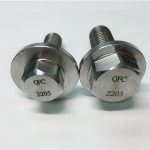 2205 hexagonoko brida torlojuak
