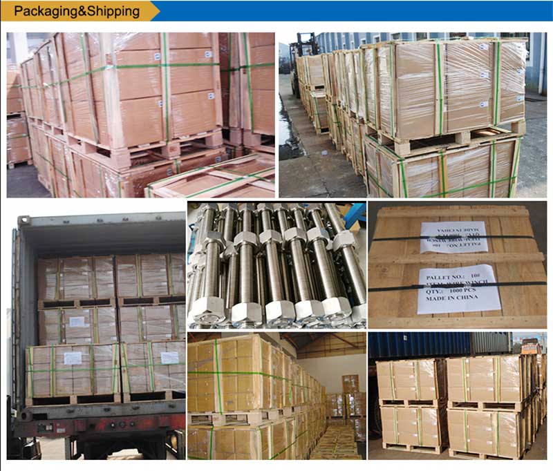 Altzairu-Steel-zerrenda-Morroilo-Tornuak-Fastener-ontziratzea